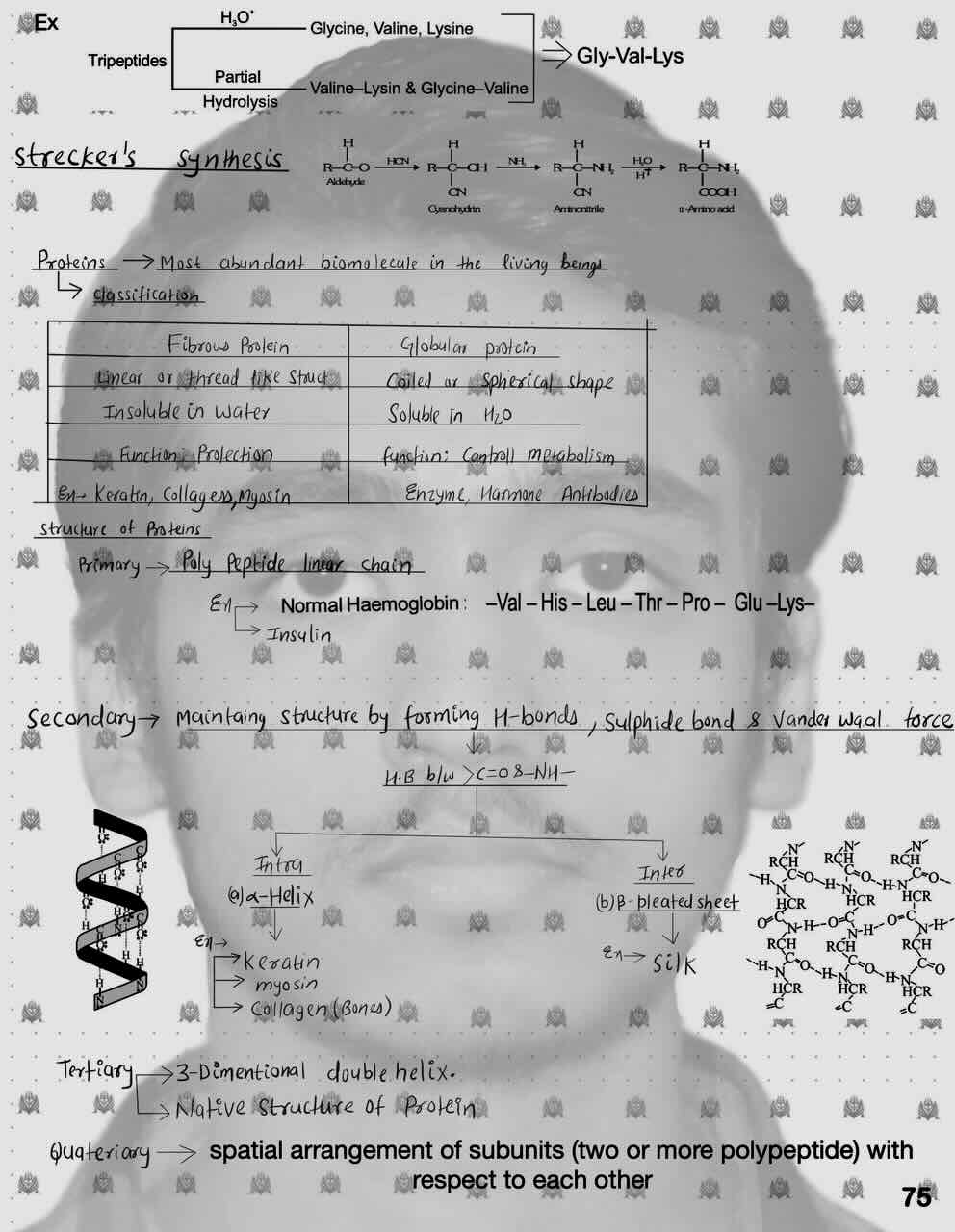 12. Biomolecules/Amino acids/Naming of polypeptide/Strecker's synthesis/Proteins/Classification of protein [Fibrous Protein and Globular protein/Structure of protein [ Primary,Secondary,Tertiary,        Quateriary].