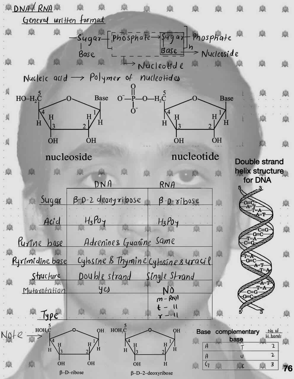 13. Biomolecules/DNA and RNA/Nucleic acid/Nucleoside/Nucleotide/Table for the differentiation of DNA and RNA.