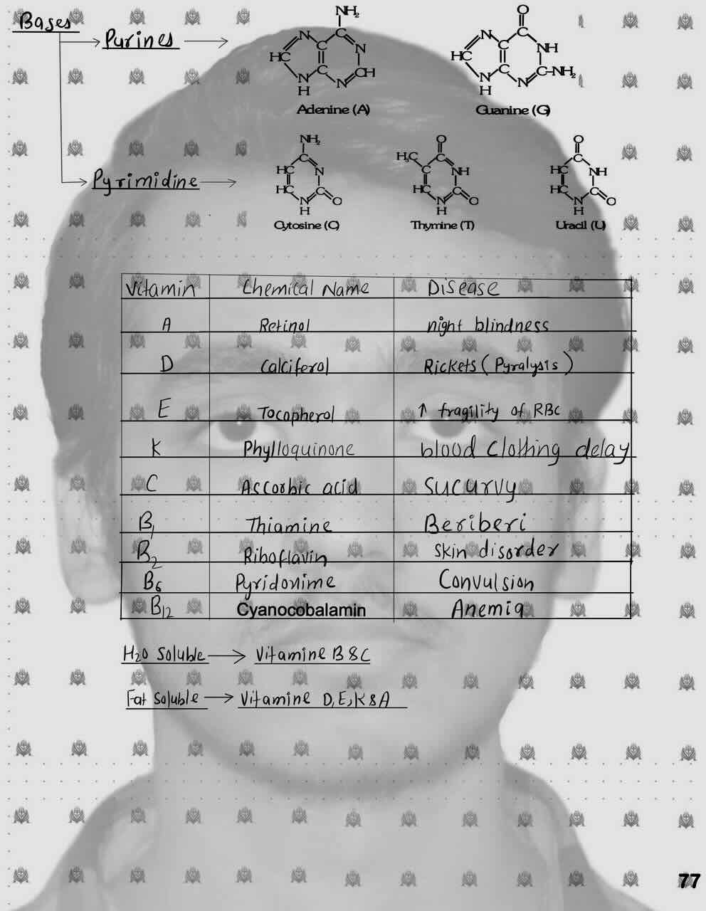 14. Biomolecules/DNA and RNA/Nucleic acid/Nucleoside/Nucleotide/     Nitrogen Bases [Purines and Pyrimidine]/Vitamins/Different types of vitamins/Table for different types of vitamins,it's chemical name and it's related disease/H2O soluble vitamin/Fat soluble vitamin.