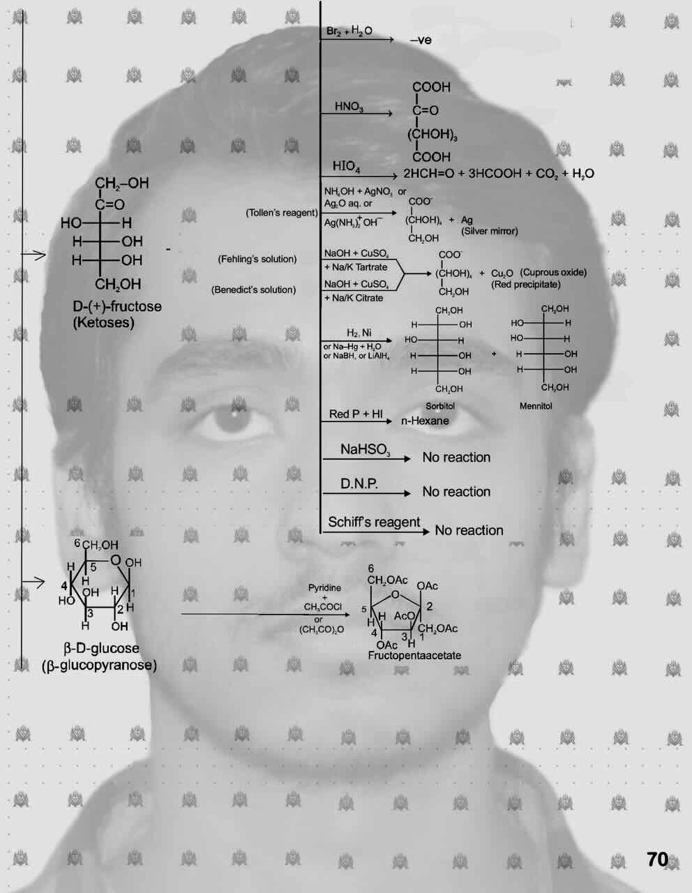 7. Biomolecules/Monosaccharide/Fructose/Reaction of fructose/Reaction of fructose with Br2+H2O/Reaction of fructose with HNO3/Reaction of fructose with HIO4/Reaction of fructose with Tollen's reagent/Reaction of fructose with Fehling's solution/Reaction of fructose with Benedict's solution/Reaction of fructose with H2,Ni/Reaction of fructose with redP+HI/Reaction of fructose with NaHSO3/Reaction of fructose with D.N.P/Reaction of fructose with Schiff's reagent/ Formation of Fructopentacetate.