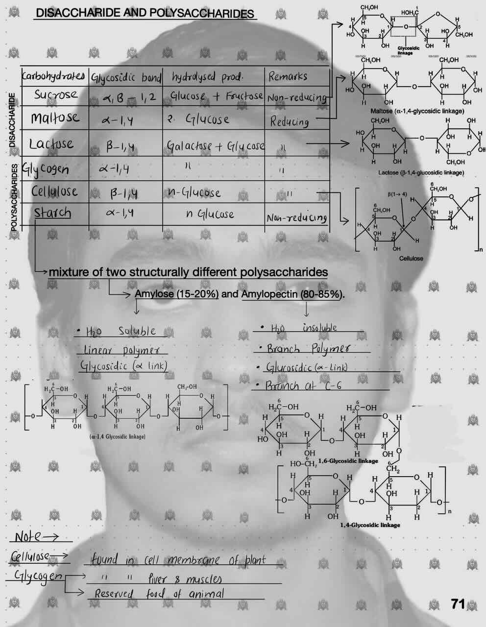 8. Biomolecules/Disaccharides and Polysaccharides/Table for disaccharides and Polysaccharides for Glycosidic bond ,Hydrolysed bond and for reducing and non-reducing/Polysaccharides/Different polysaccharides[Amlyose,Amylopectin,Cellulose,Glycogen]/Differnece between amylose and amylopectin.